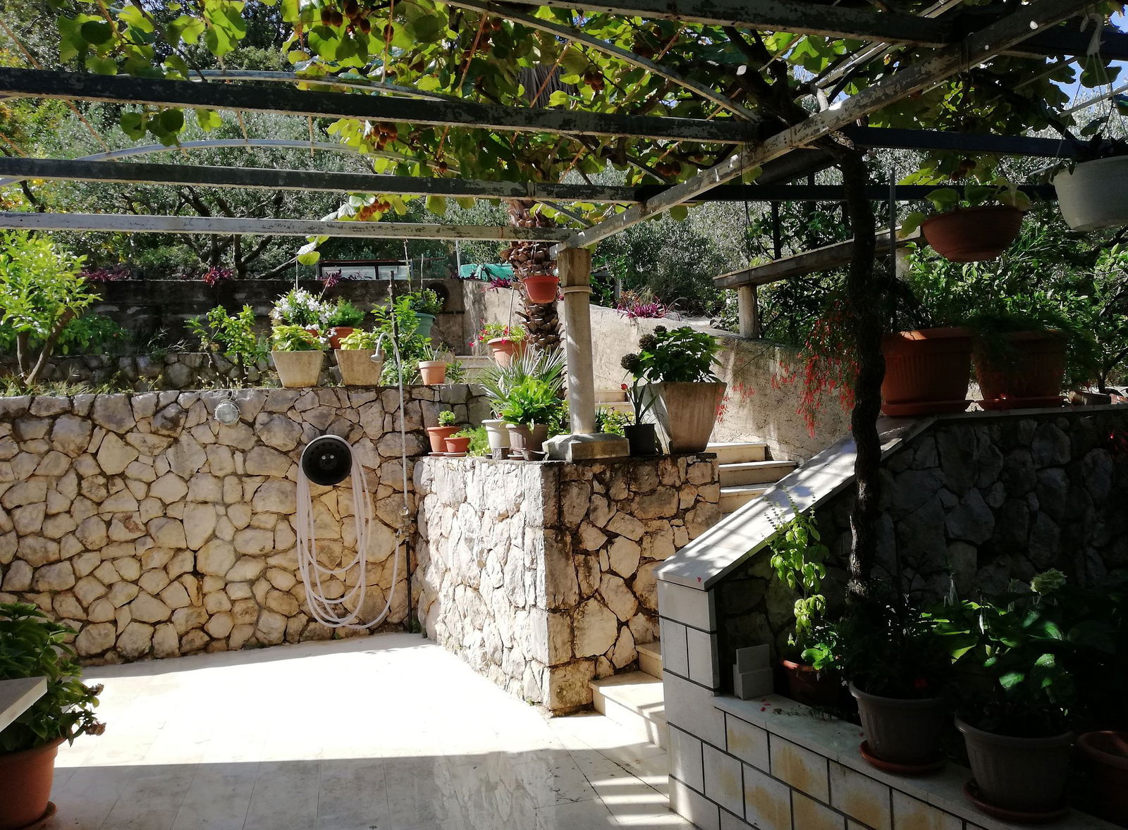 Apartments and Rooms Villa Mir