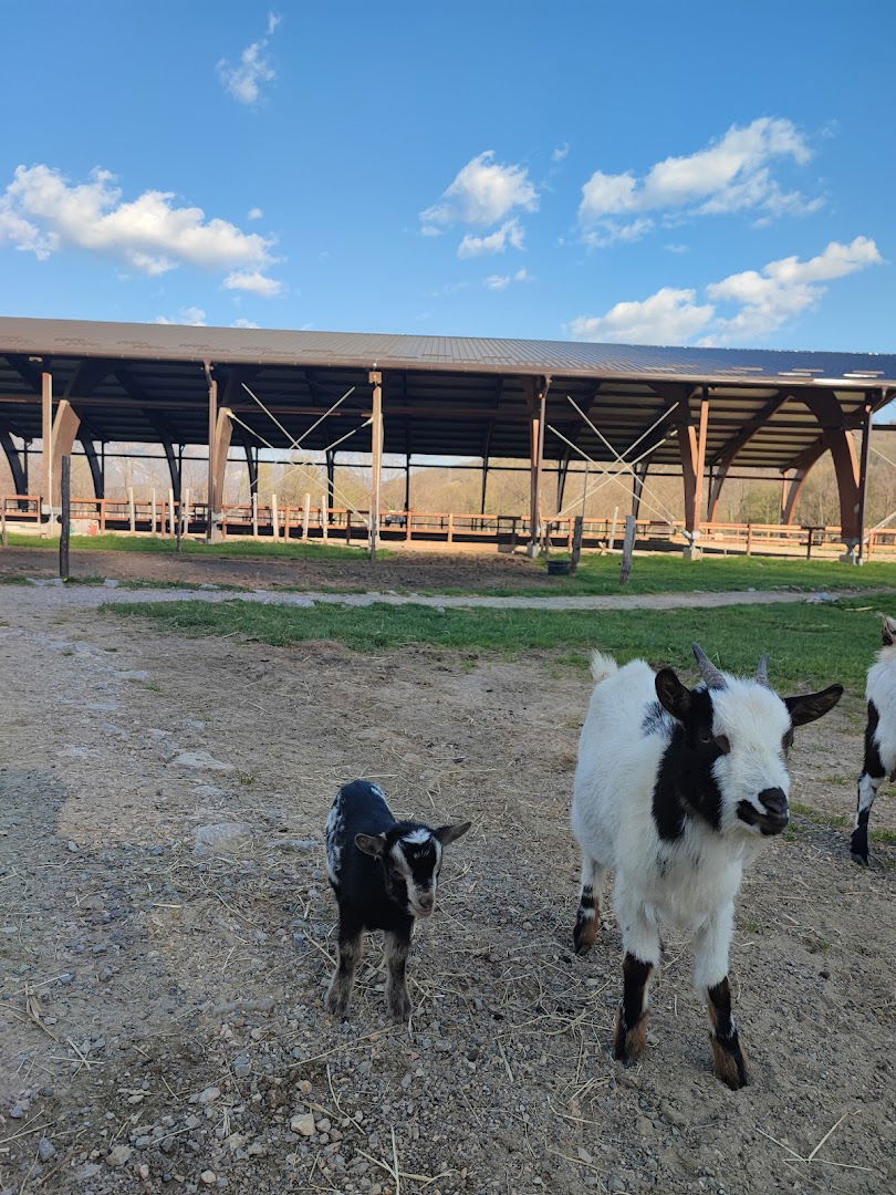 Konjički klub Linčetovo