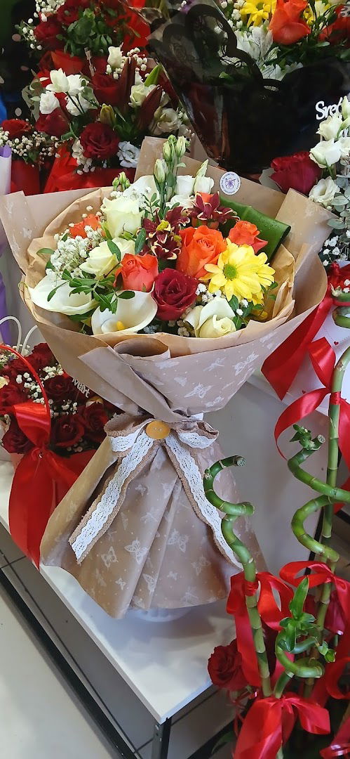 Banatski cvetak zanovetak