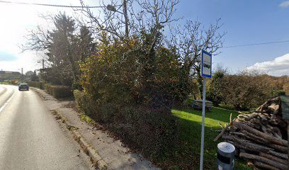 Kralj.Brijegi-Lojeni