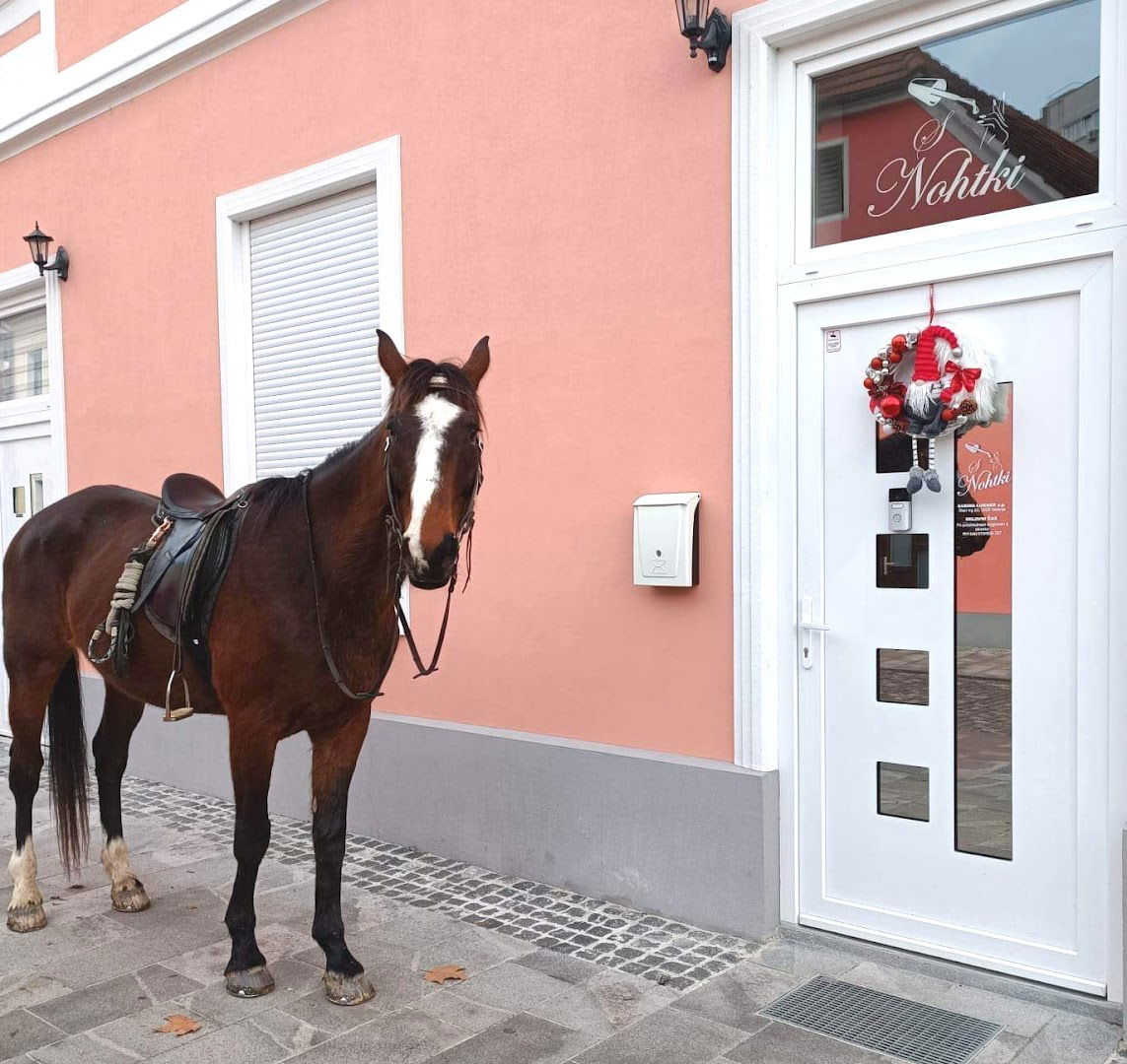 S Nohtki, Manikura, Sabina Lukner s.p.