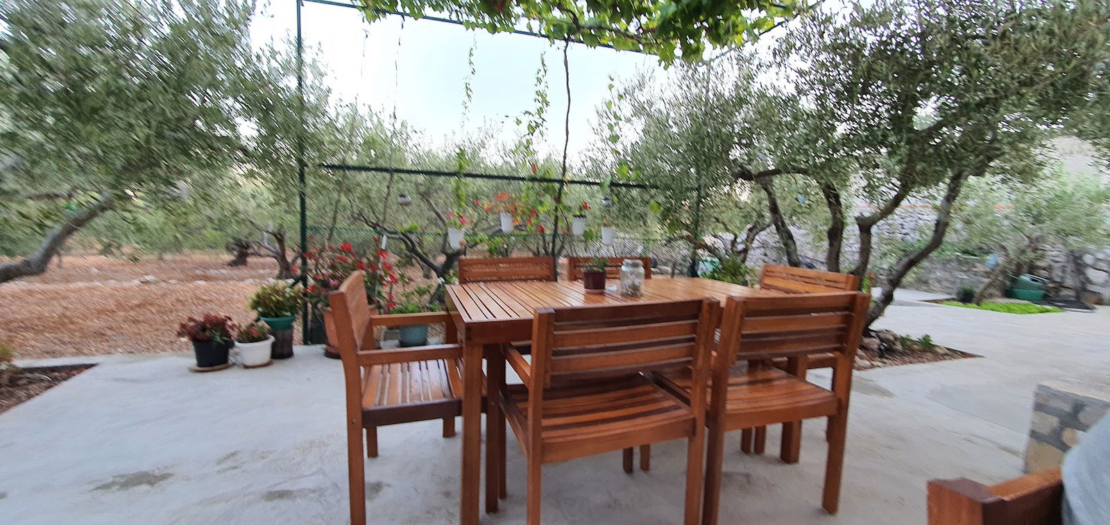 OPG Vinko Sviličić, Kušaona maslinovog ulja