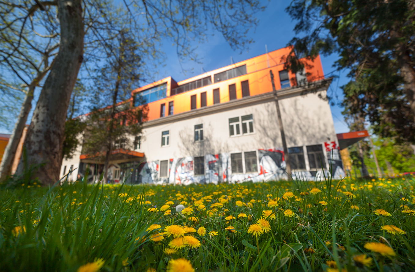 Mladinski kulturni center Maribor