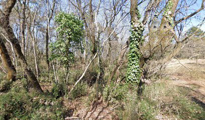 Abbeveratoio Cavalli Grande Guerra