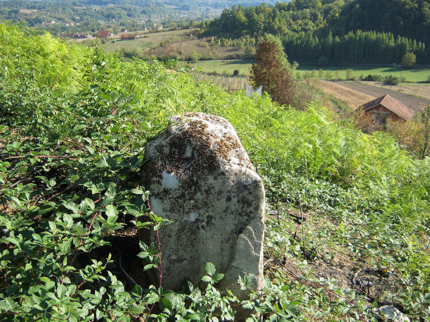 Groblje u Gvozdenima