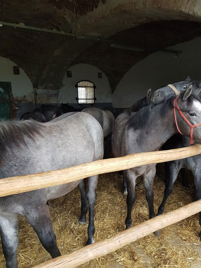 Ured Državne ergele Lipik