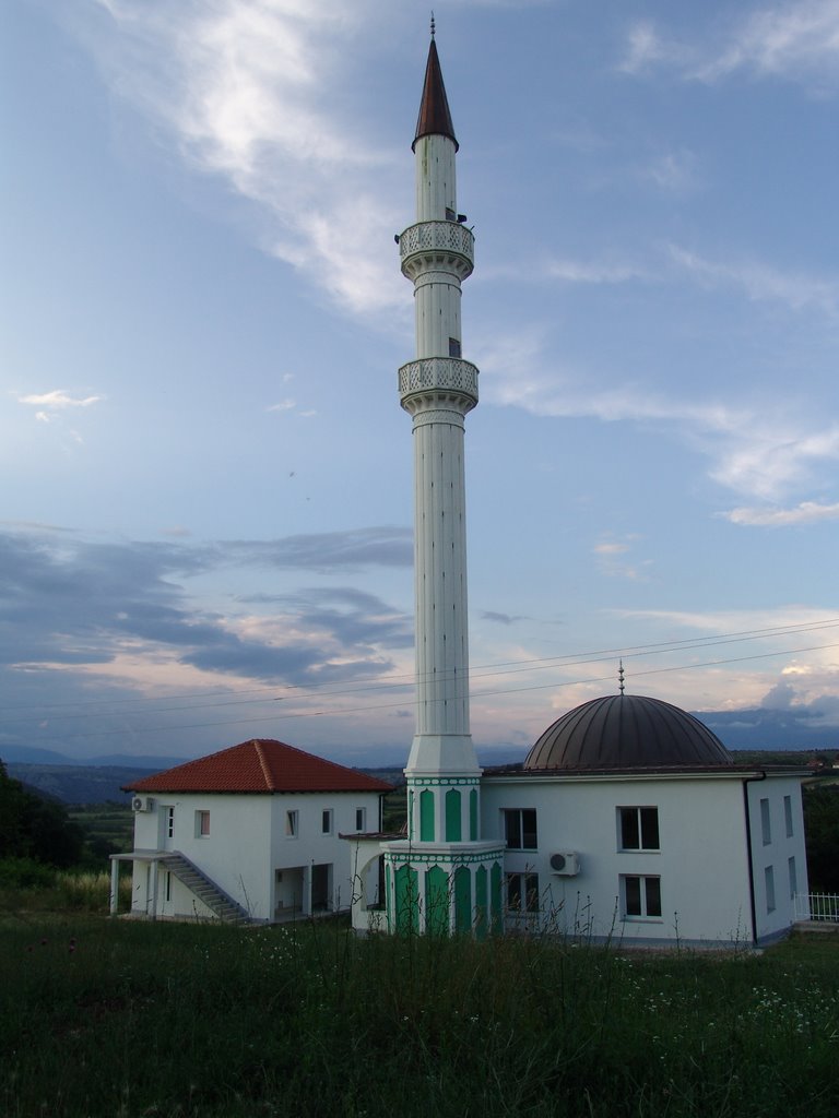 Džamija Bivolje Brdo