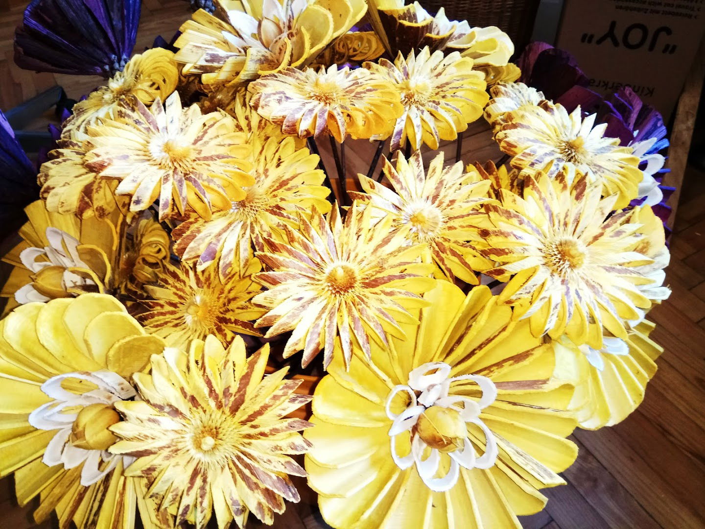 Suho cvijeće Pintarić