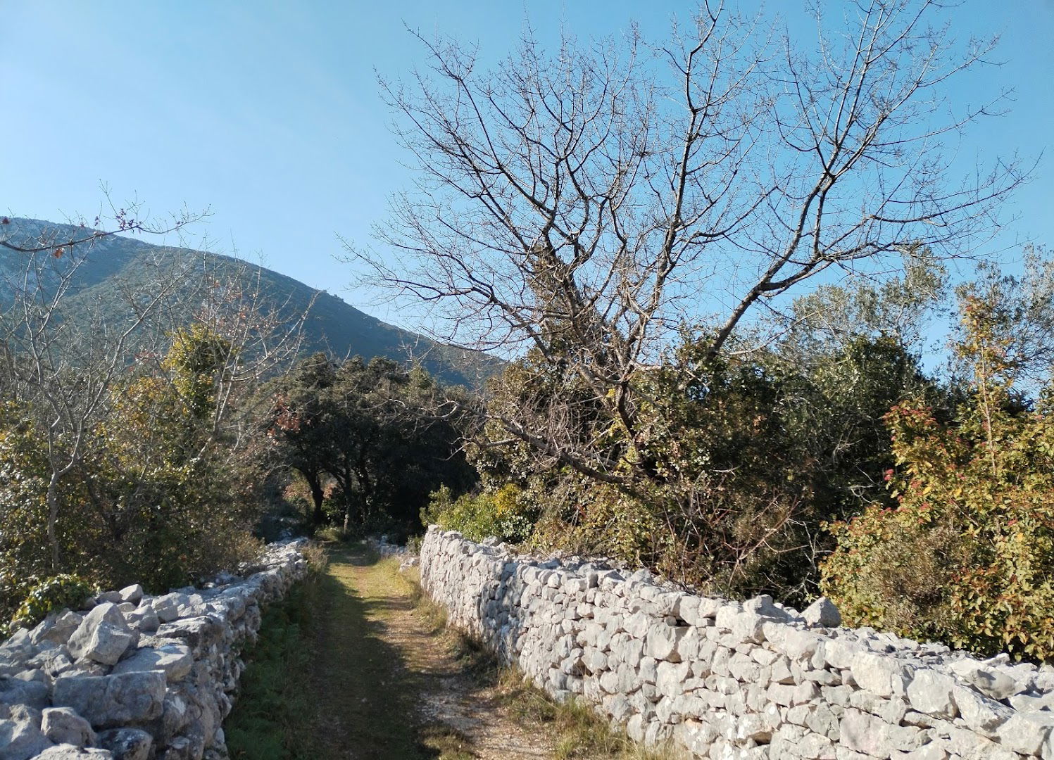 Mali Ston ️ Hodilje - staza kroz polje ‍ ️