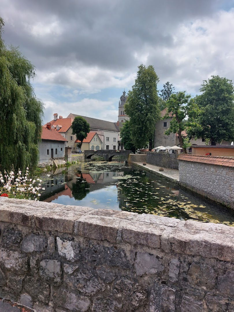 Skupna občinska uprava "Medobčinski inšpektorat in redarstvo občin Dobrepolje, loški Potok, Ribnica, Sodražica in Velike Lašče"