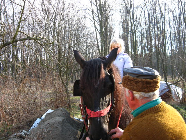 Park Jarmočisko Horka