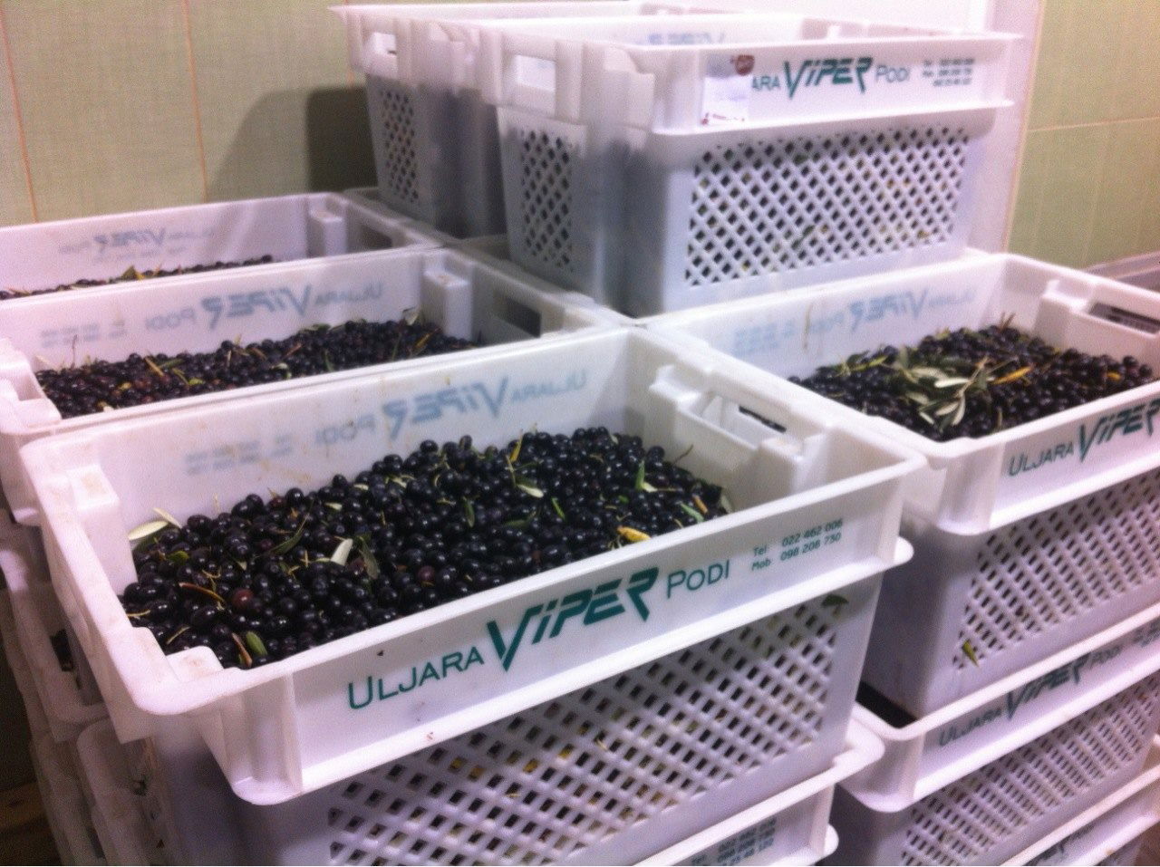 Uljara Viper na Podima Šibenik; olive oil factory