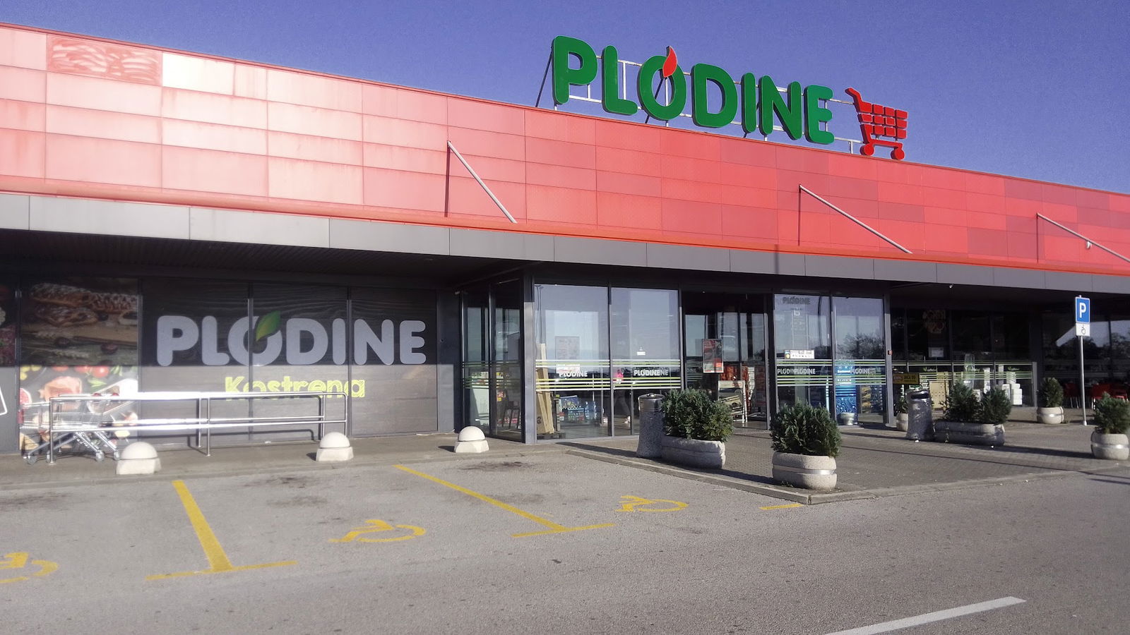 Plodine