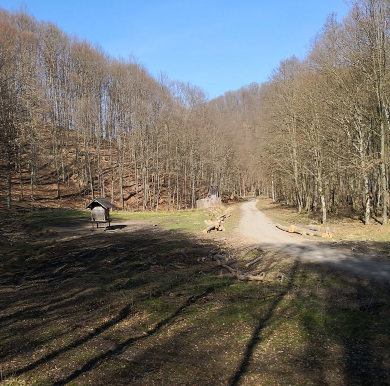 Sjenica Srednja rijeka