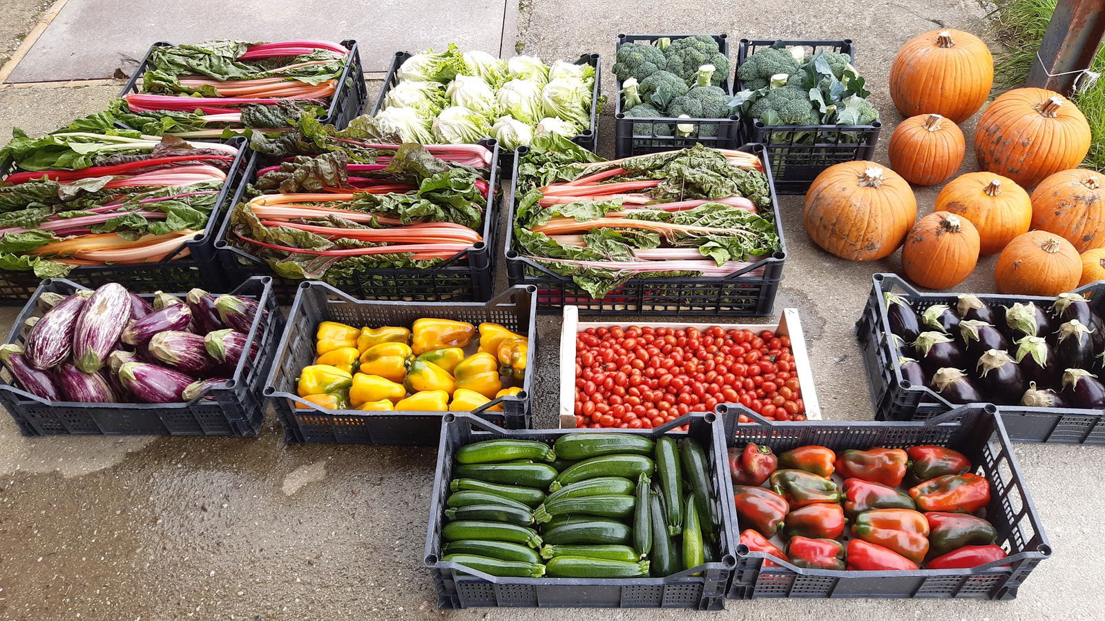 Bottega dell'orto- Società agricola Pietro Bassan