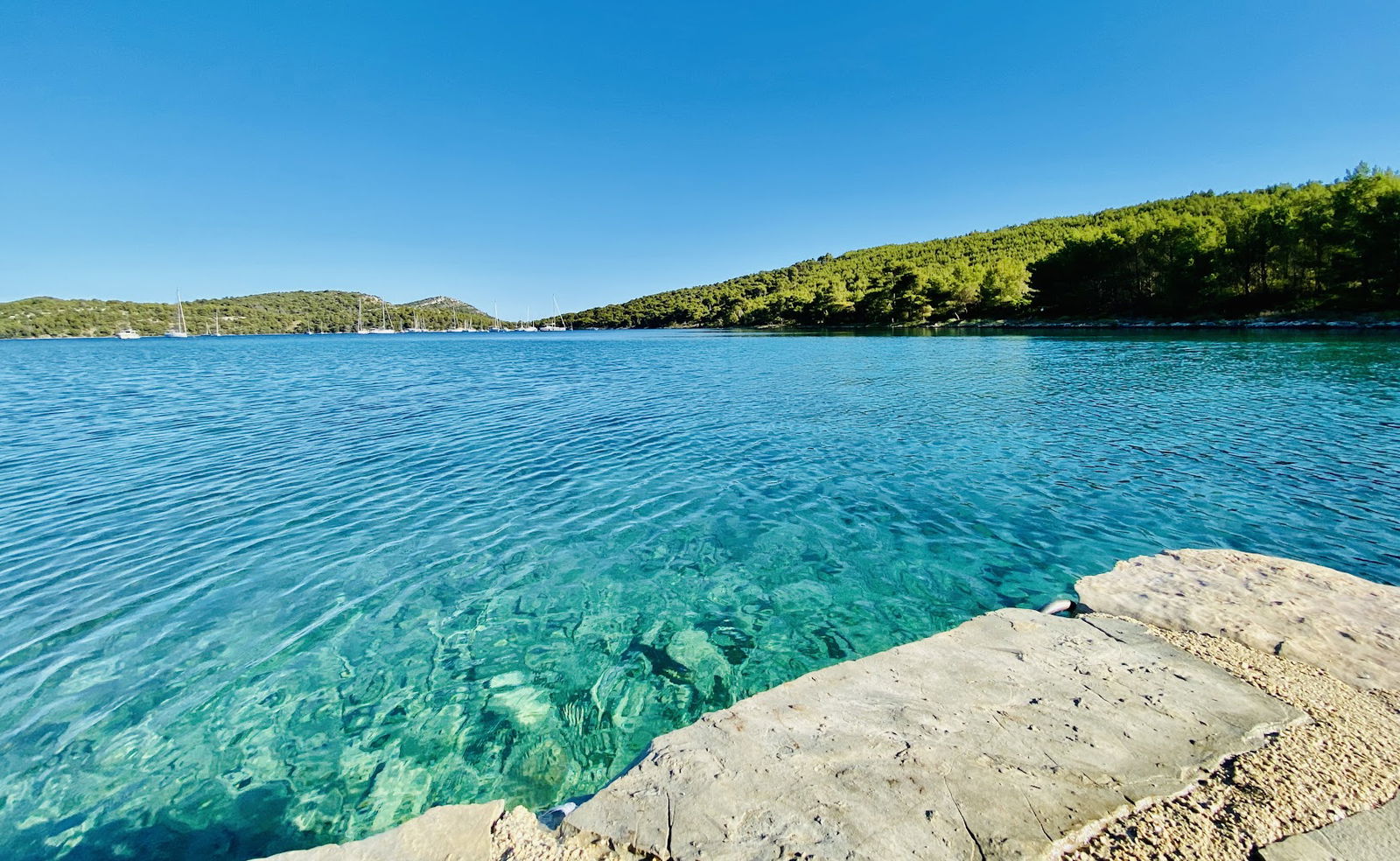 Podvodna poučna staza - Educational Underwater Trail