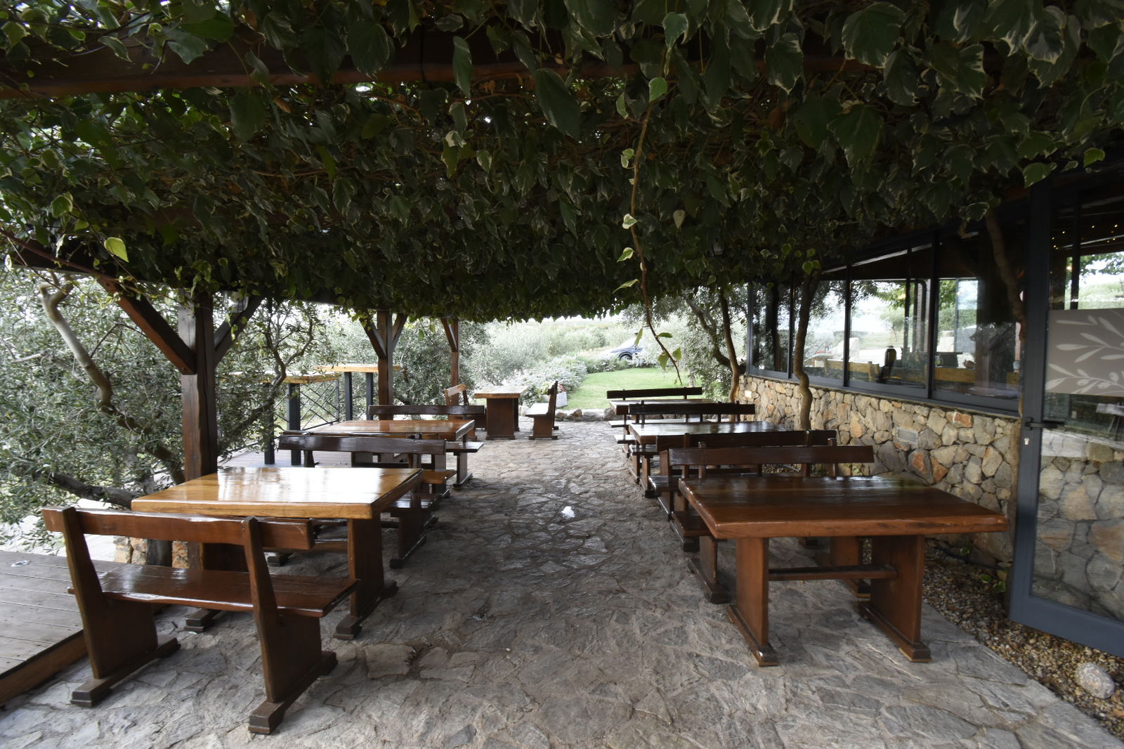 Olive Garden - Ulika Maslinik