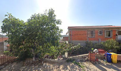 Alternativni centar Martina