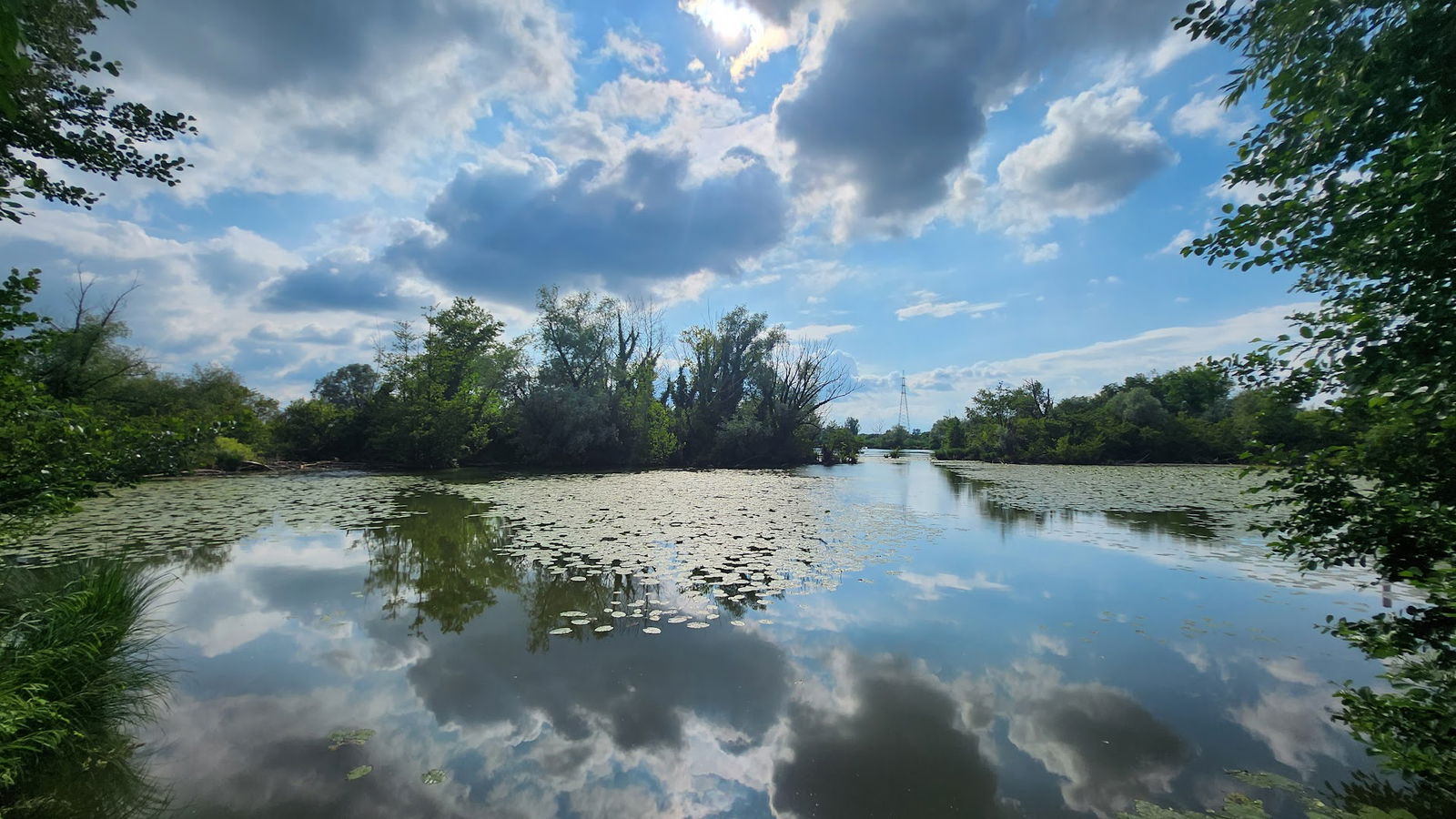 Ornithological Station Savica