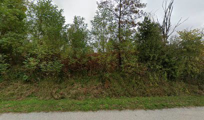 Old cemetery Perjasica