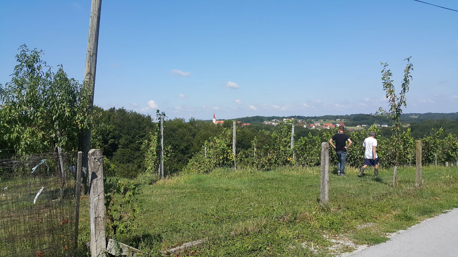 Brkotisk, grafično oblikovanje in tisk, Borut Vogrinec s.p.