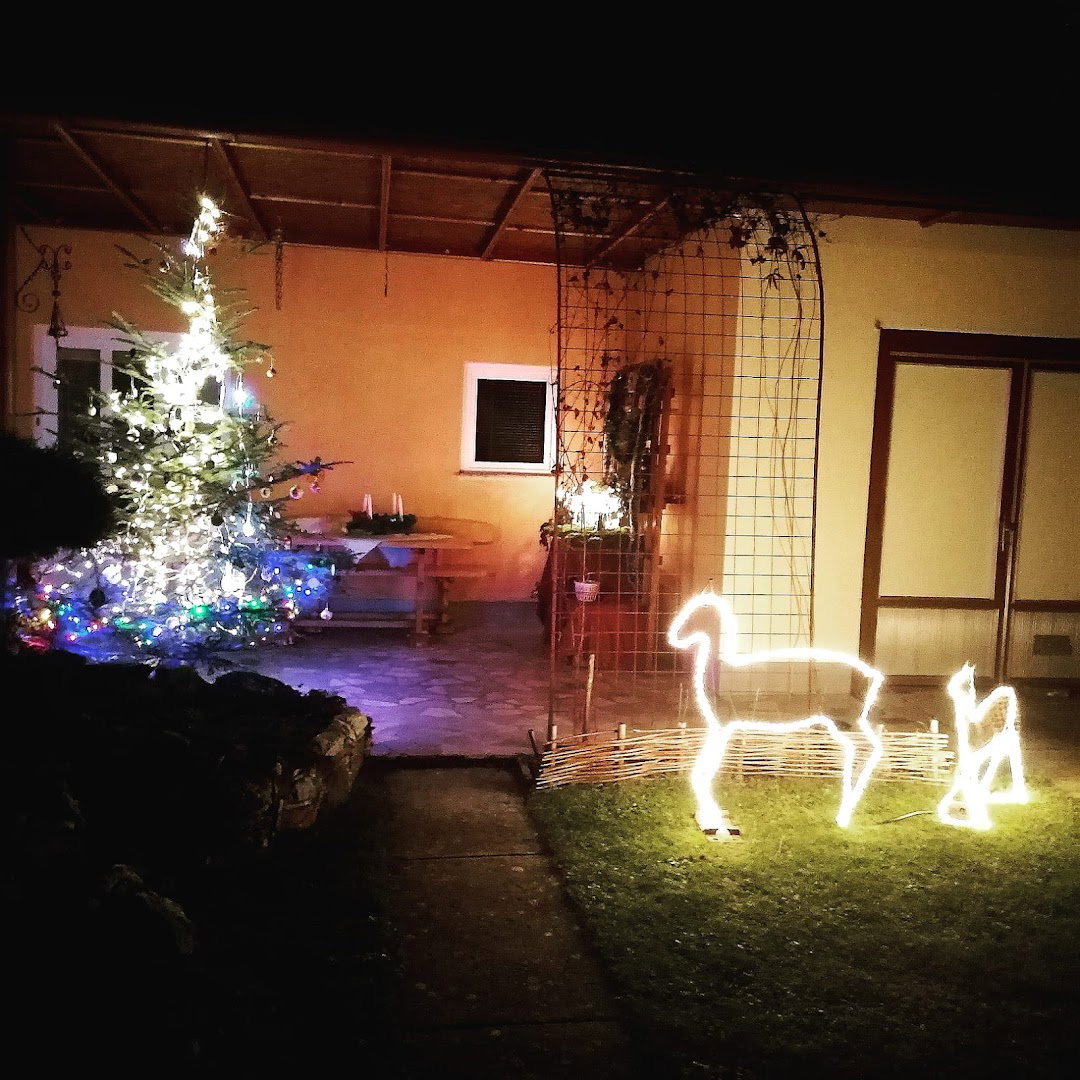 Studio Apartman Krosna