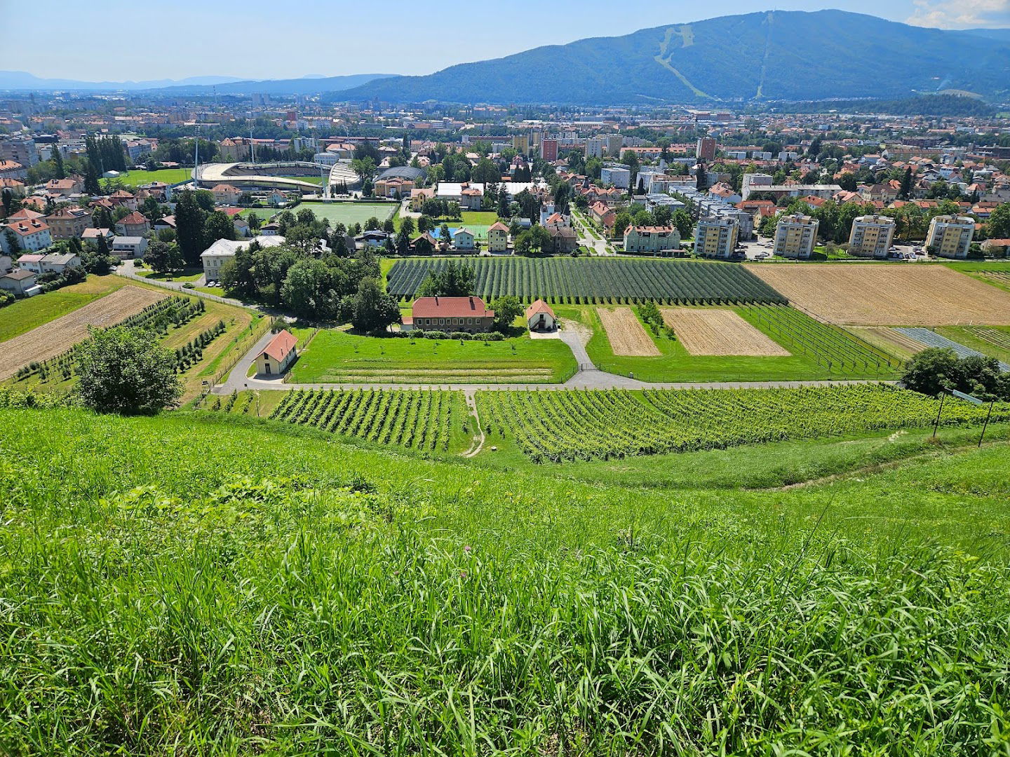 Stopnice na Kalvarijo (štenge)