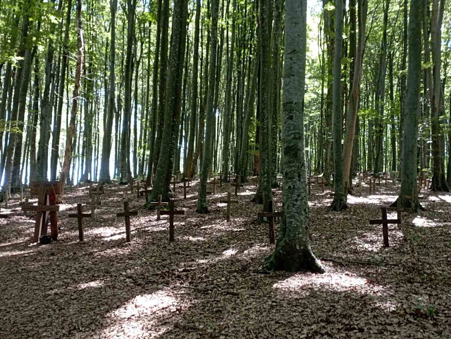 Partisan hospital Petrova Gora