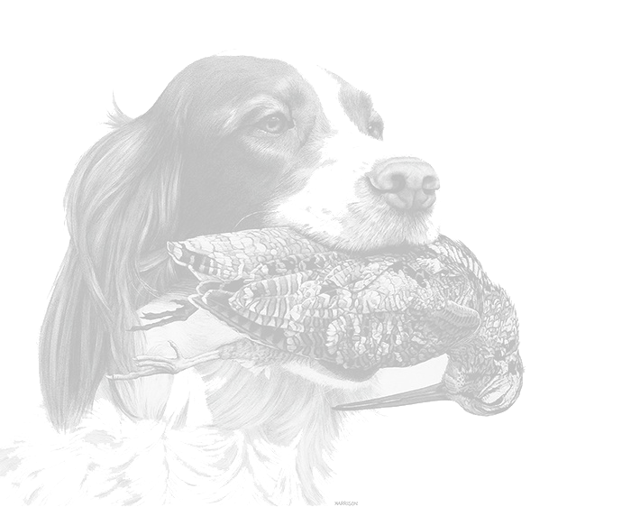 SETER D.O.O. - Hunting Shop