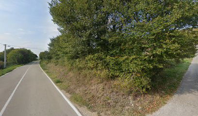 KADINA GLAVICA KOLARI 1