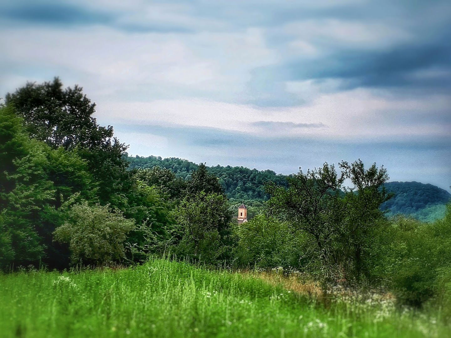 Gornji Lipovac cemetery