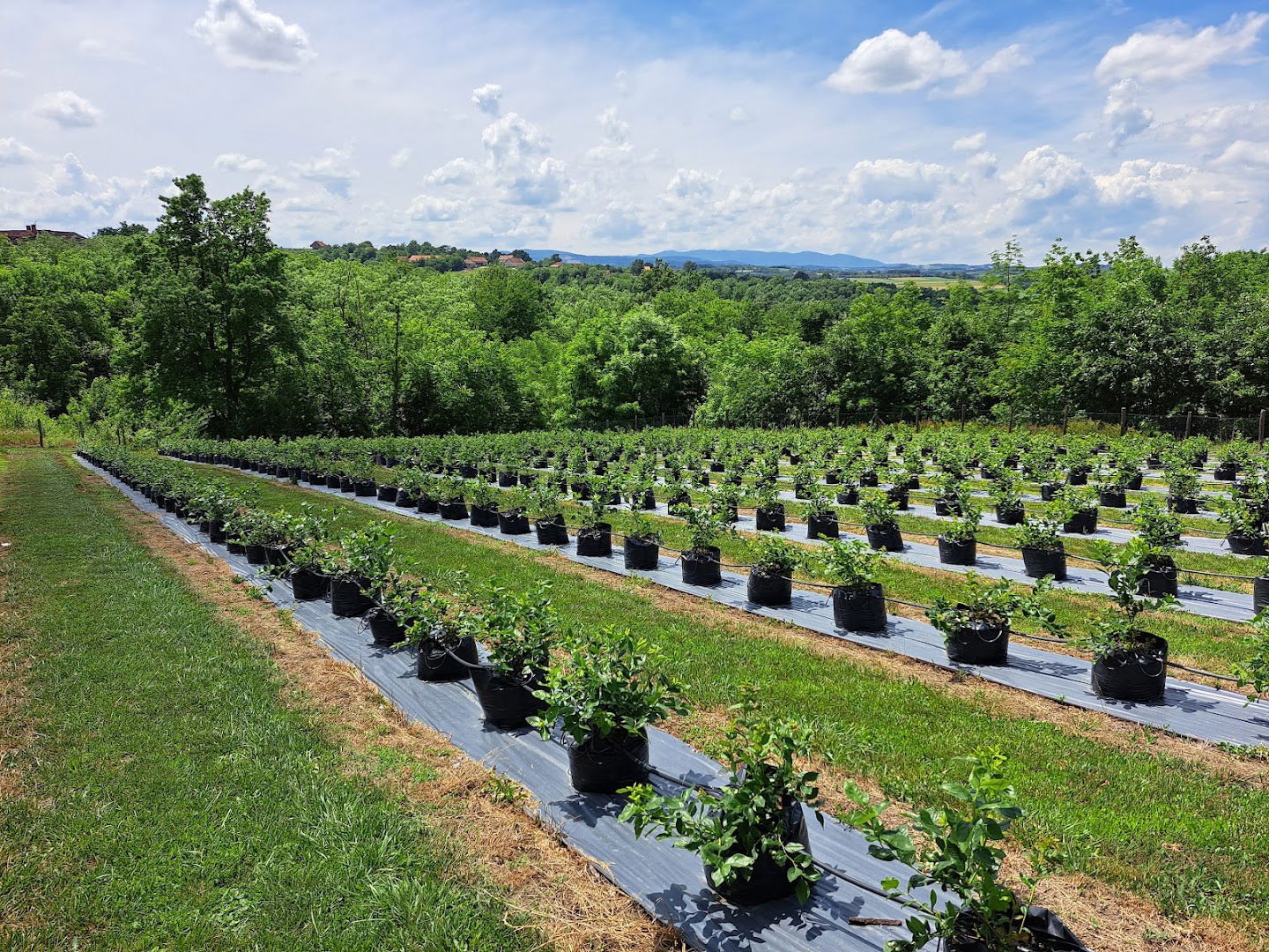 Стара школа