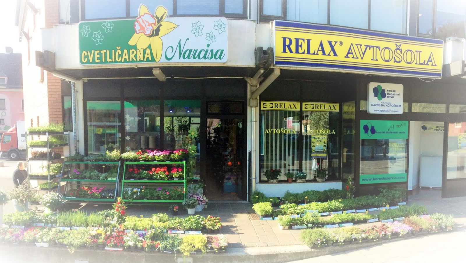 Florist "Narcissus" Matej Pogač SpA