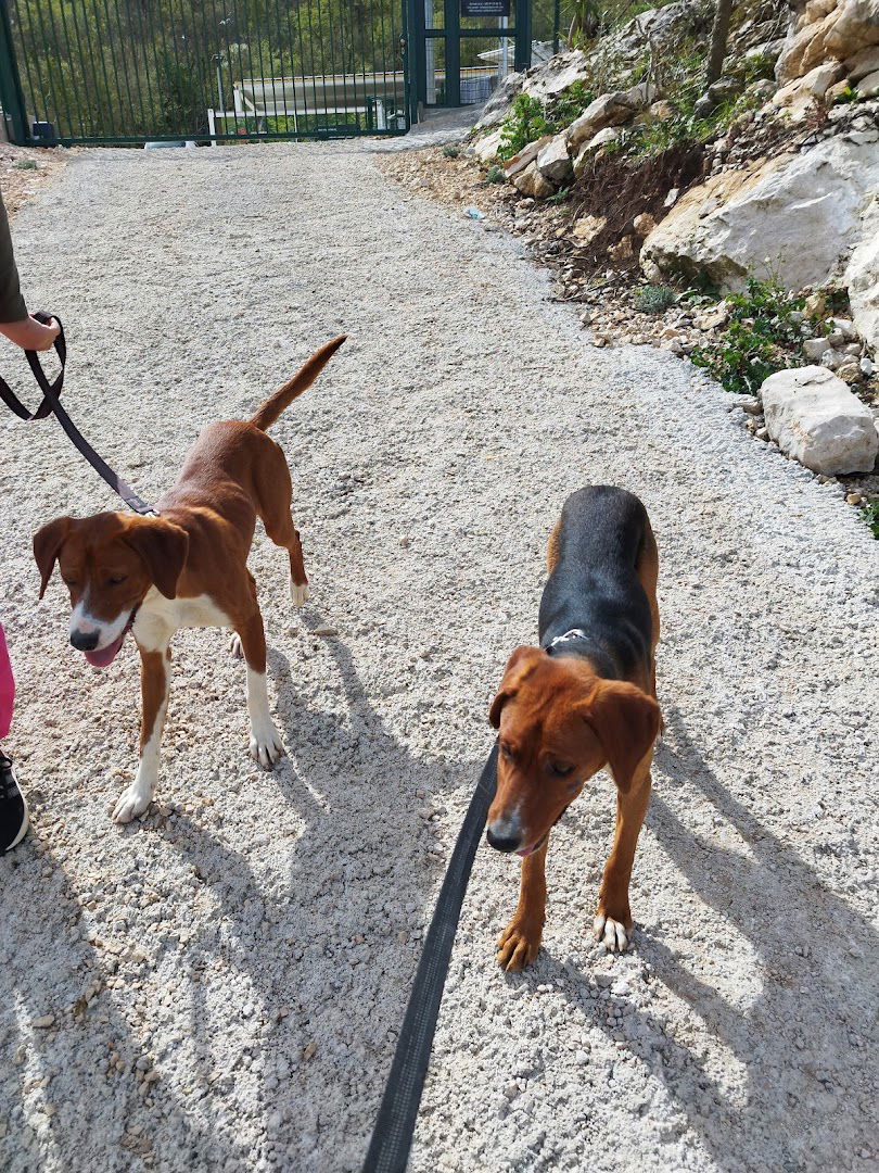 Sklonište za nezbrinute životinje Dubrovnik