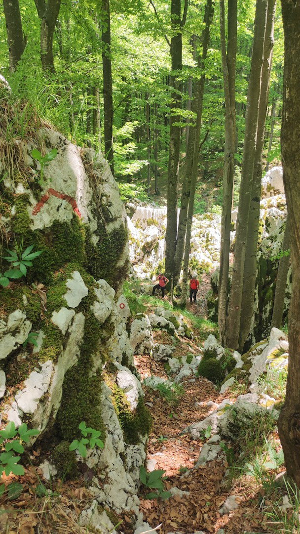 Orlove stijene - planinski vrh