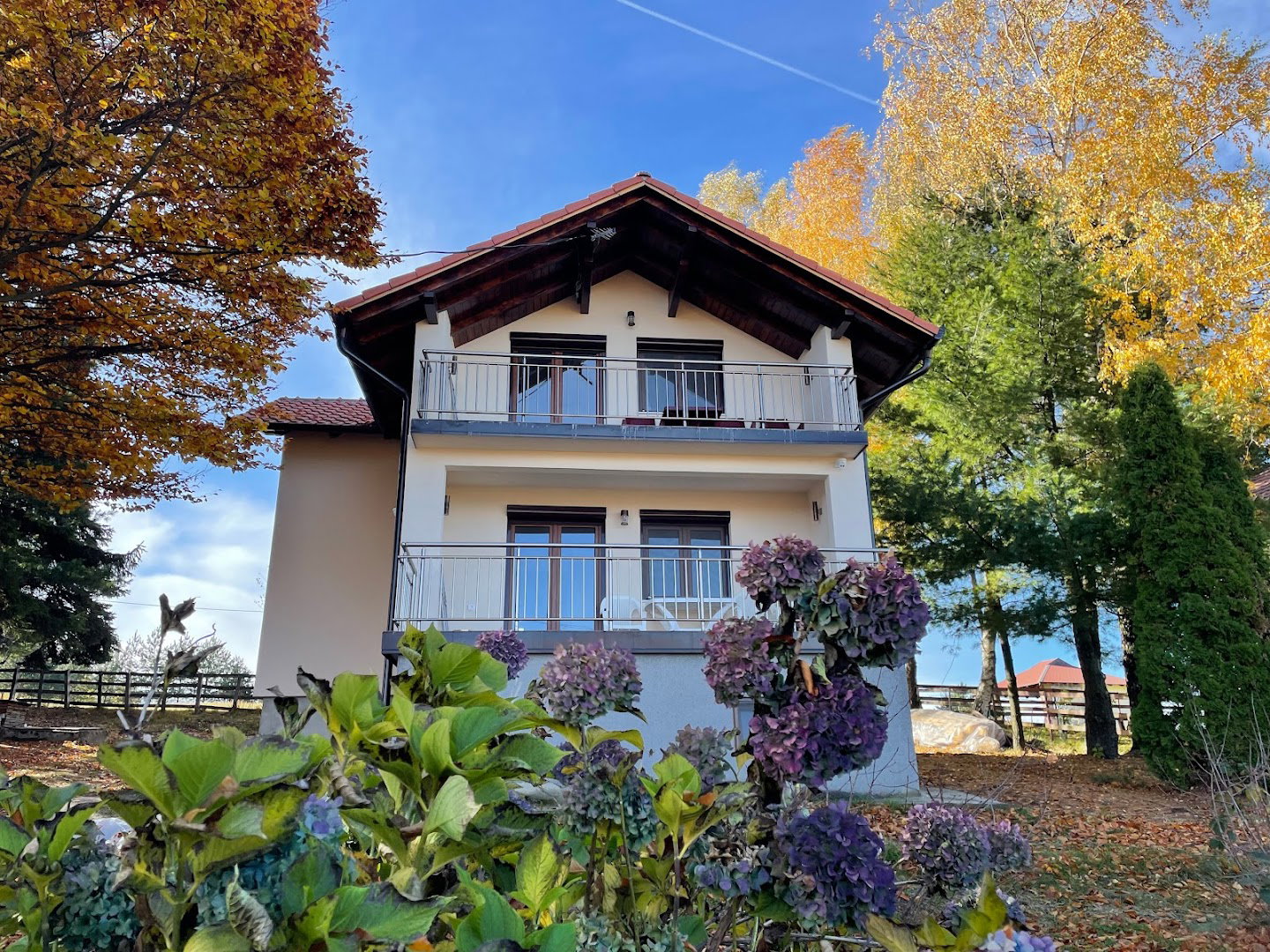 Bukov Raj apartmani Rajac