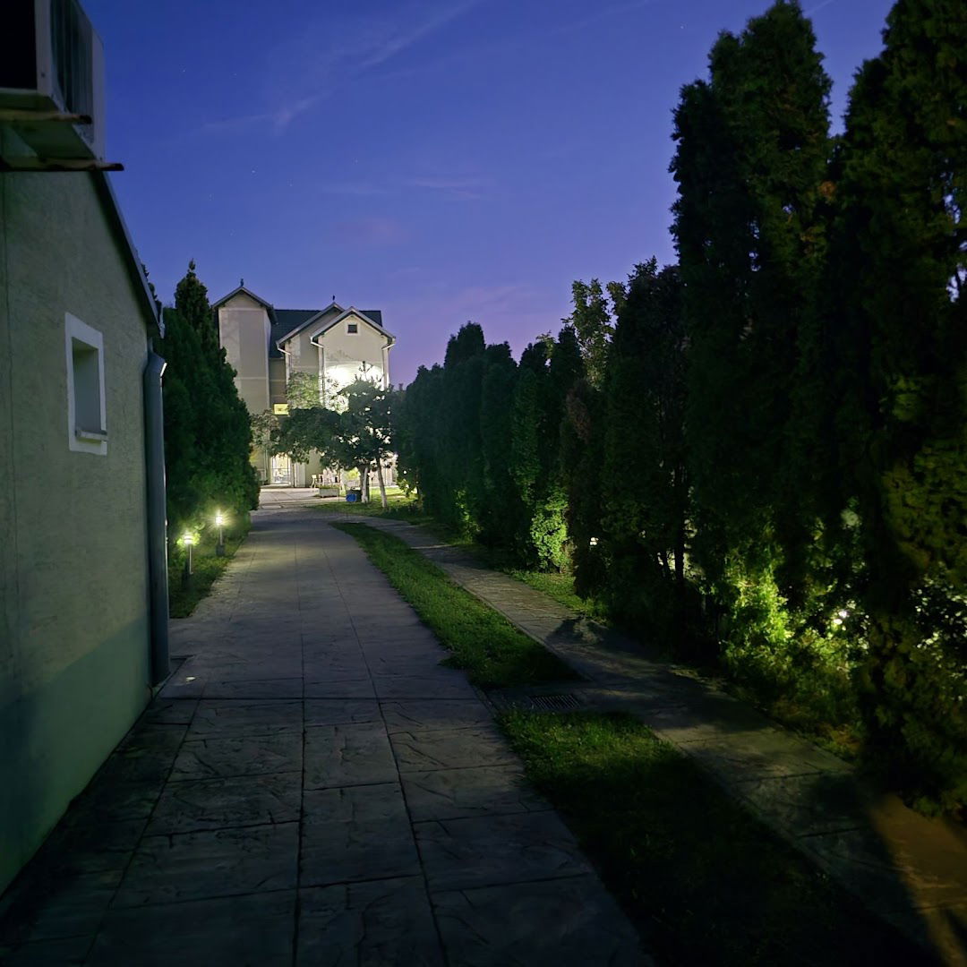 Starački dom, Fenix Padina
