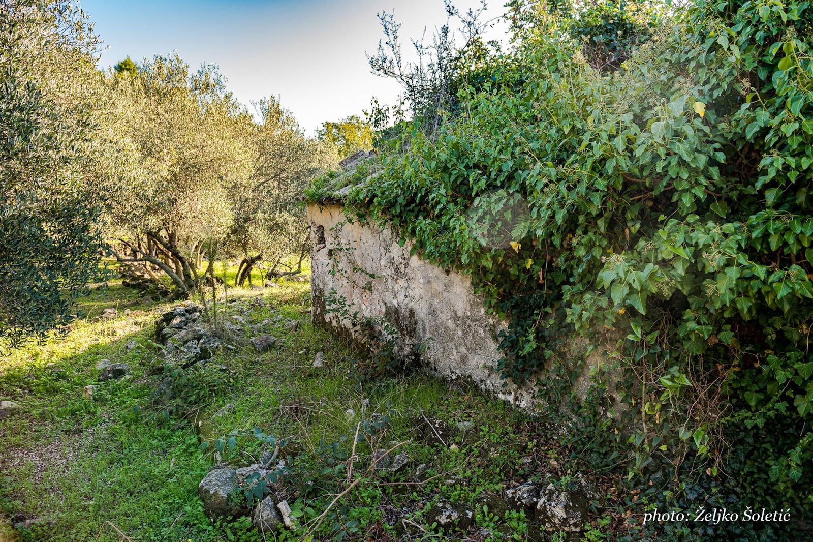 Church of St. Barbara