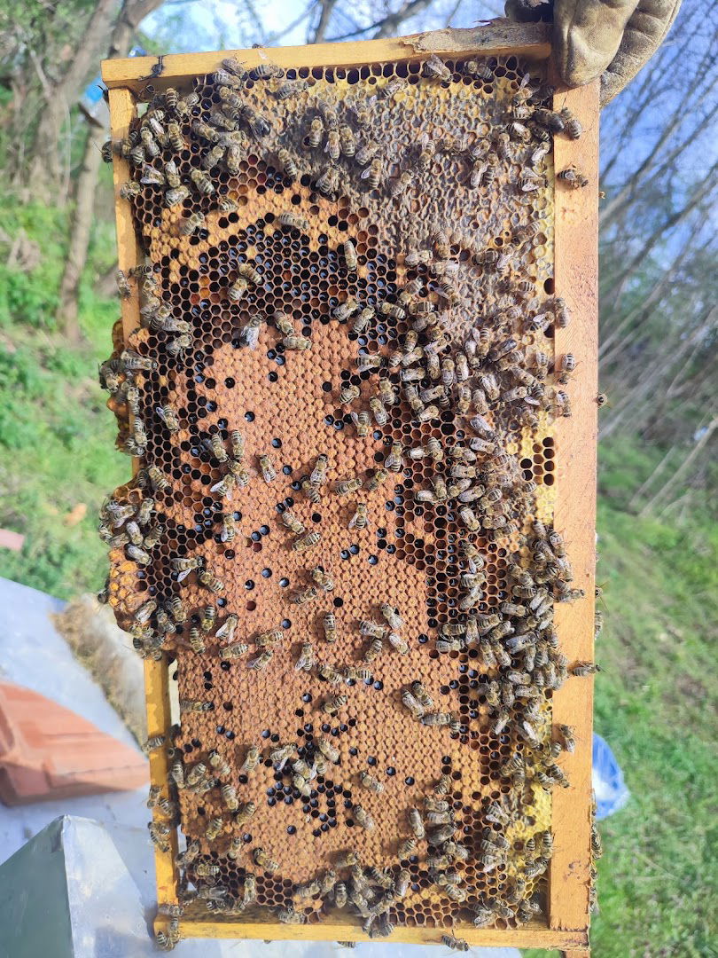 Pcelarsko gazdinstvo Markovic