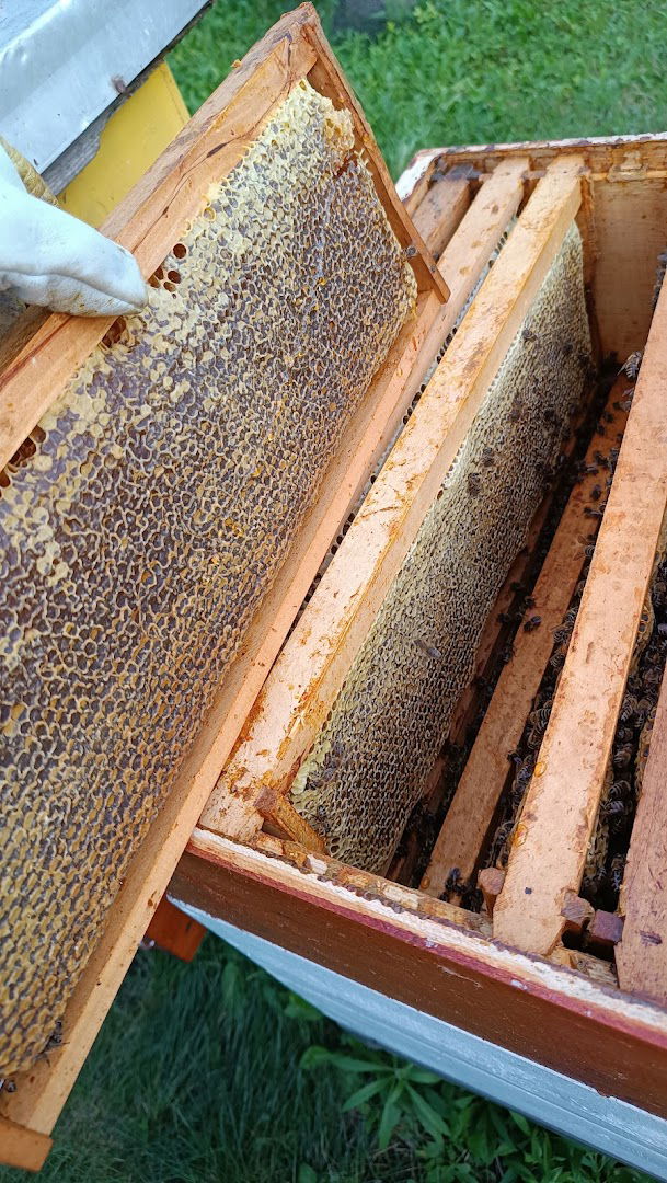 Pčelarsko gazdinstvo Spasić