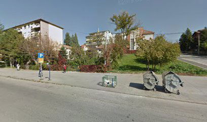 Vladimira Ćorovića