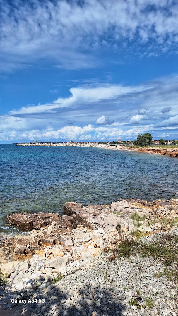 Moela-Zlatorog (mtb & walk) ‍ ️