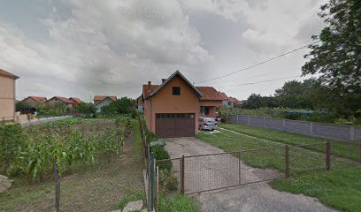 Autoelektricar Neša