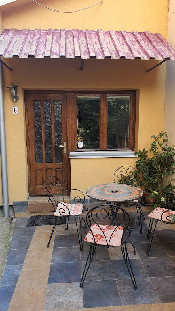 Lawyer Aleksandra (Ostojić) Mitrović