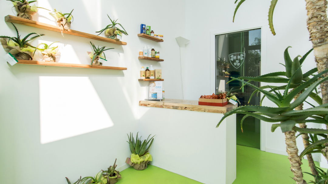 Vonderweid: Aloe Arborescens - Aloe Vera - Apicoltori - Rimedi Naturali per il Benessere