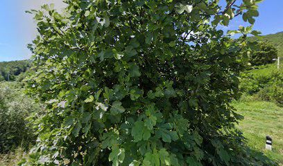 Appartement Emil Hrelja