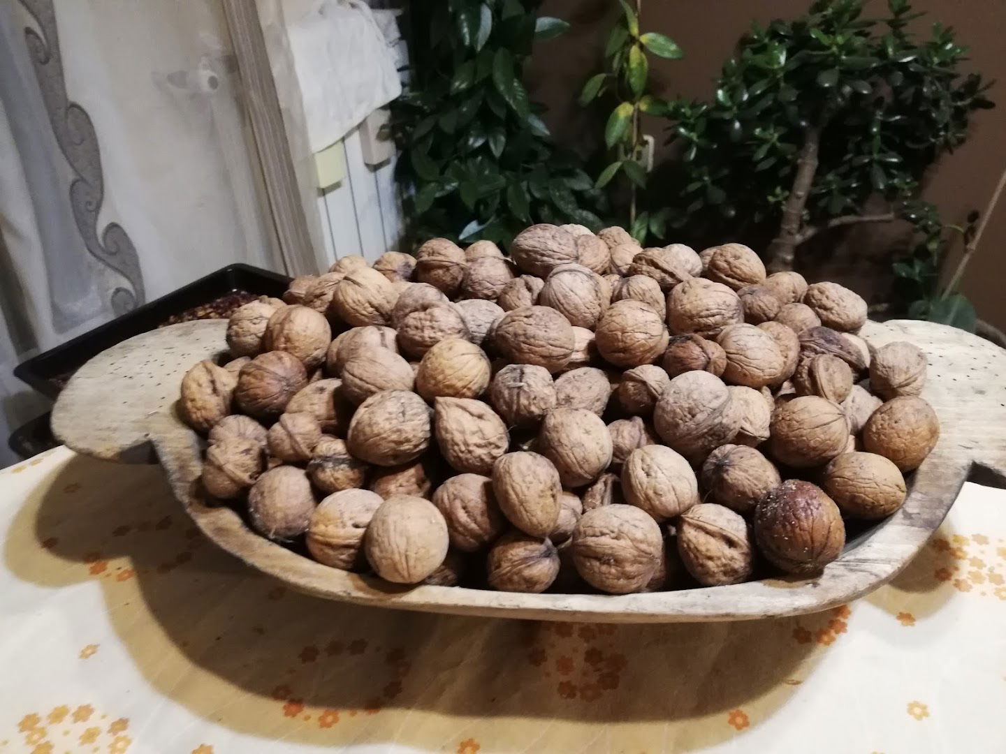 OPG Štefec (Jabučeta 36)