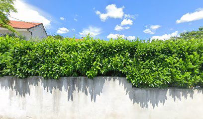 Medvidovica draga 77