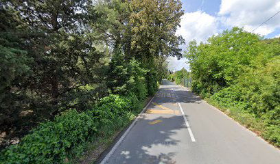 MEDITERANSKI INSTITUT 2