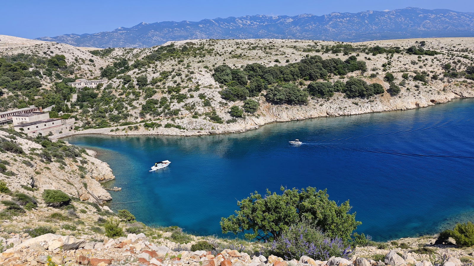 Politički logor Goli Otok